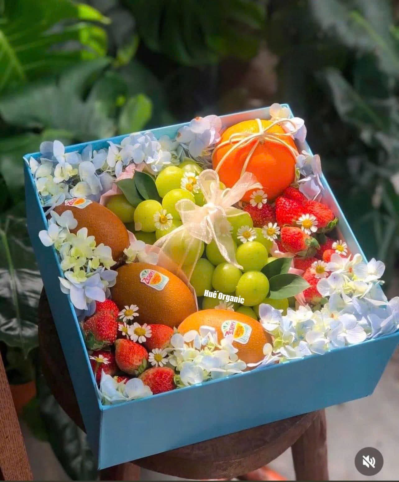 Hộp Quà Tặng Mã H43 tại Huế