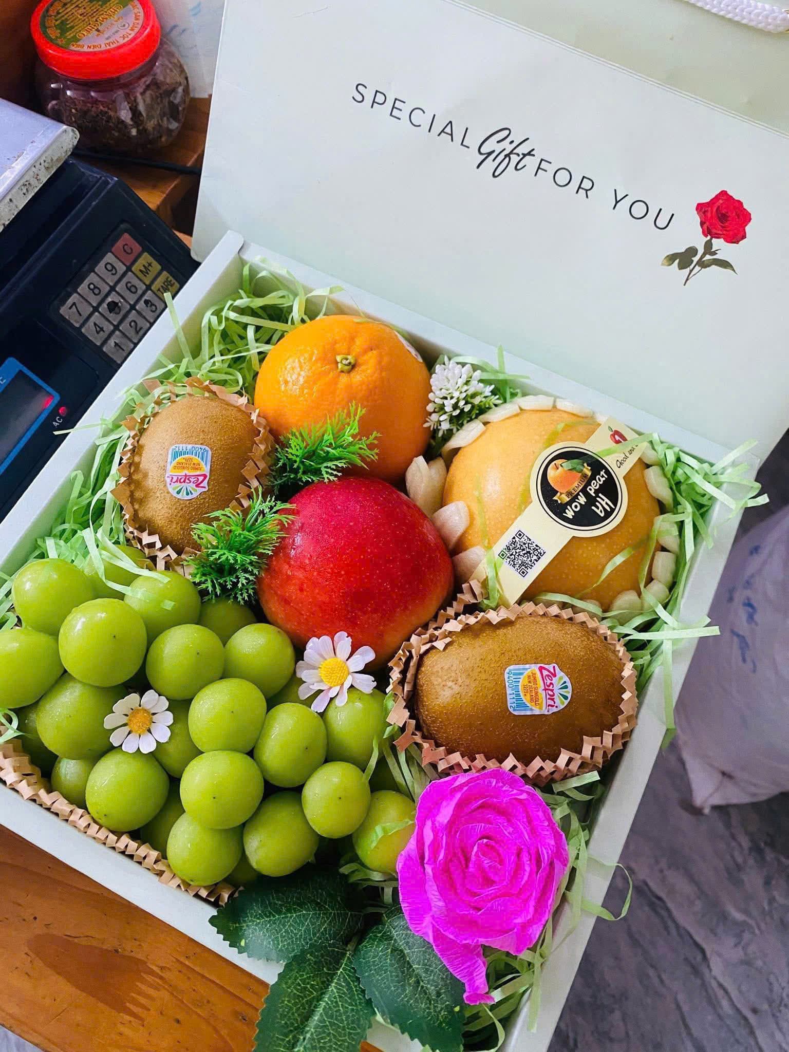 Hộp Quà Tặng Mã H51 tại Huế