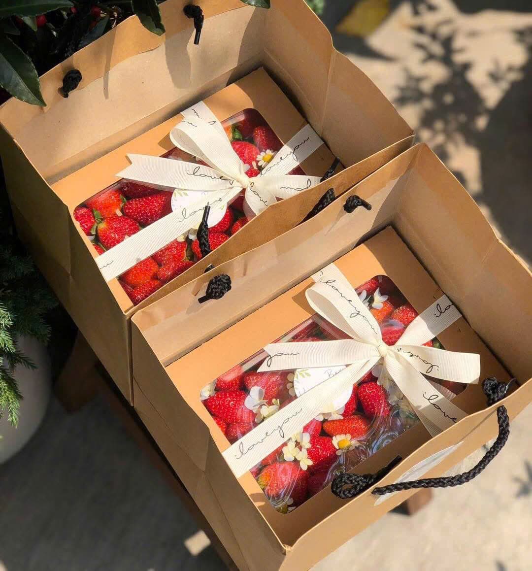 Hộp Quà Tặng Mã H58 tại Huế