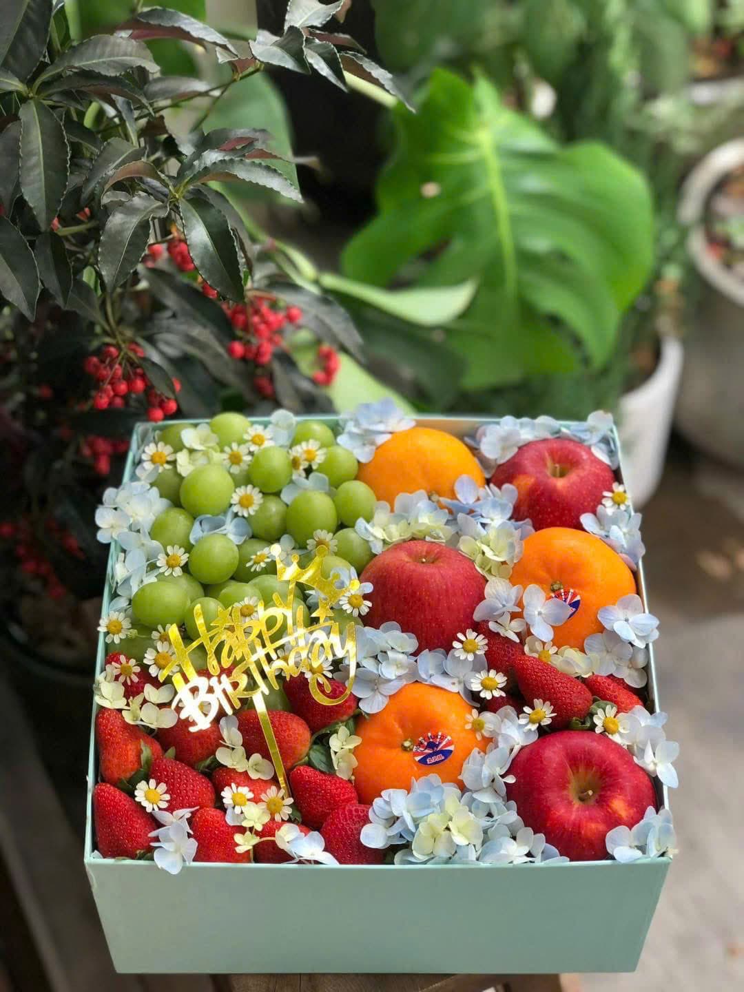 Hộp Quà Tặng Mã H63 tại Huế