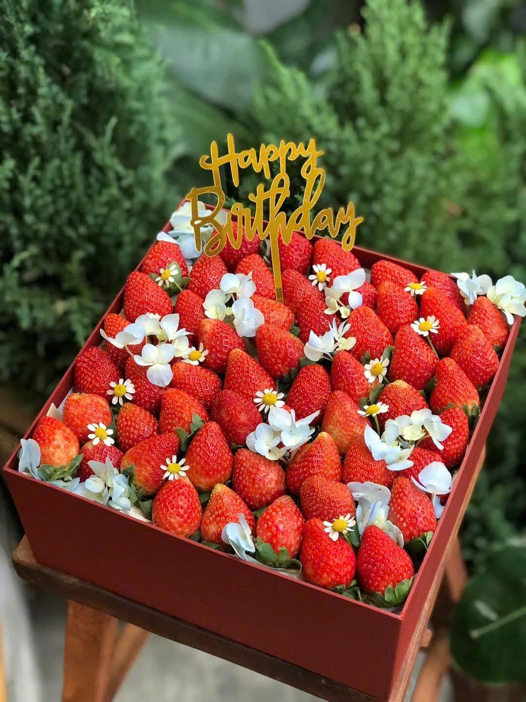 Hộp Quà Tặng Mã H66 tại Huế