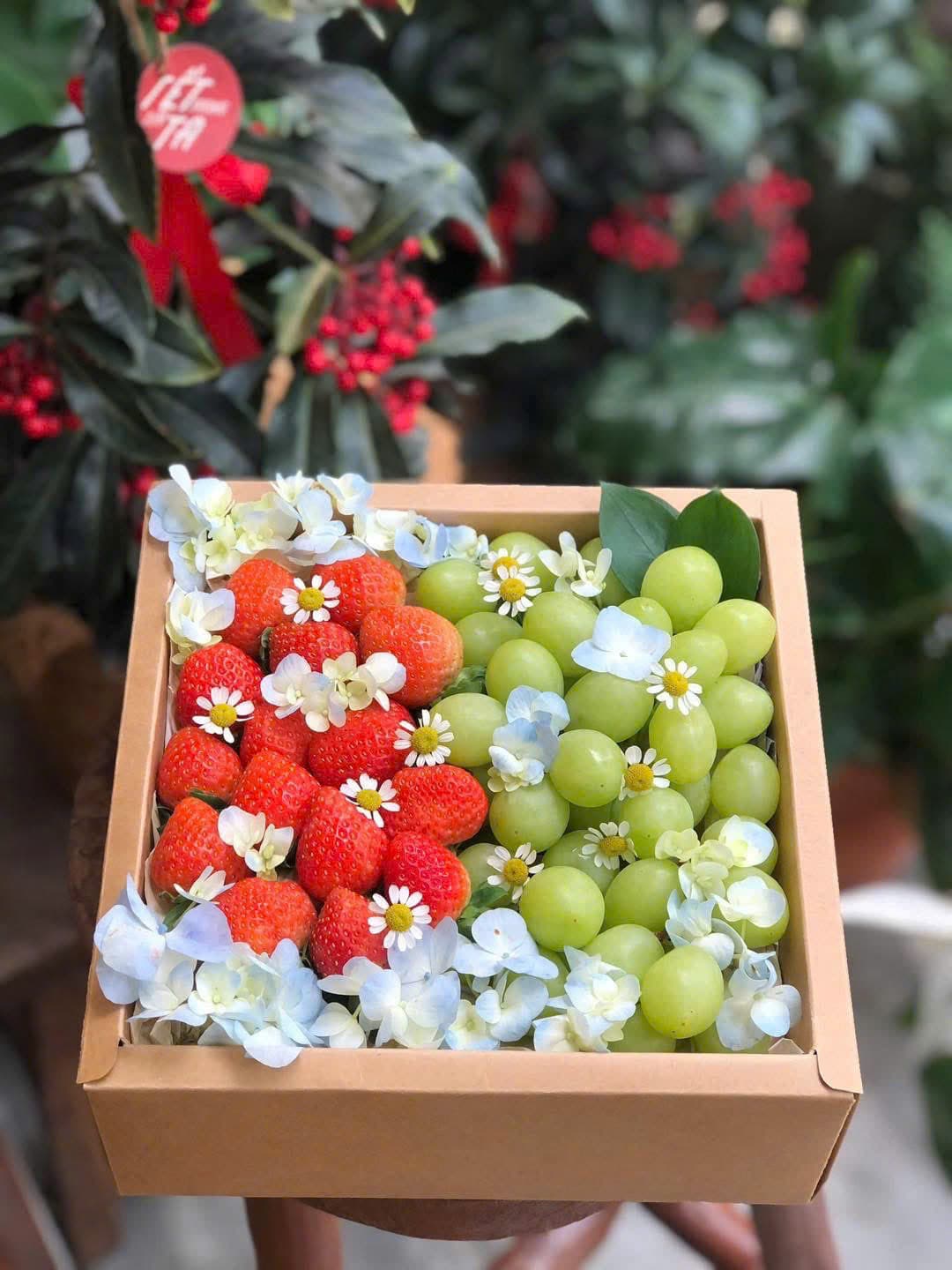 Hộp Quà Tặng Mã H67 tại Huế