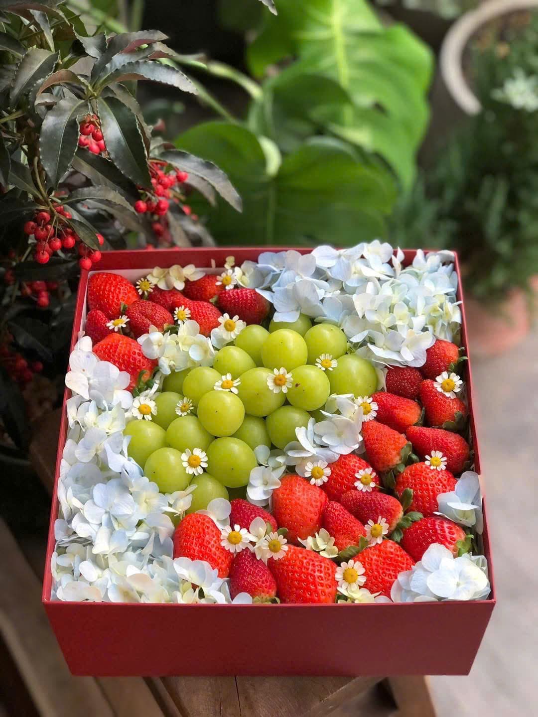 Hộp Quà Tặng Mã H82 tại Huế