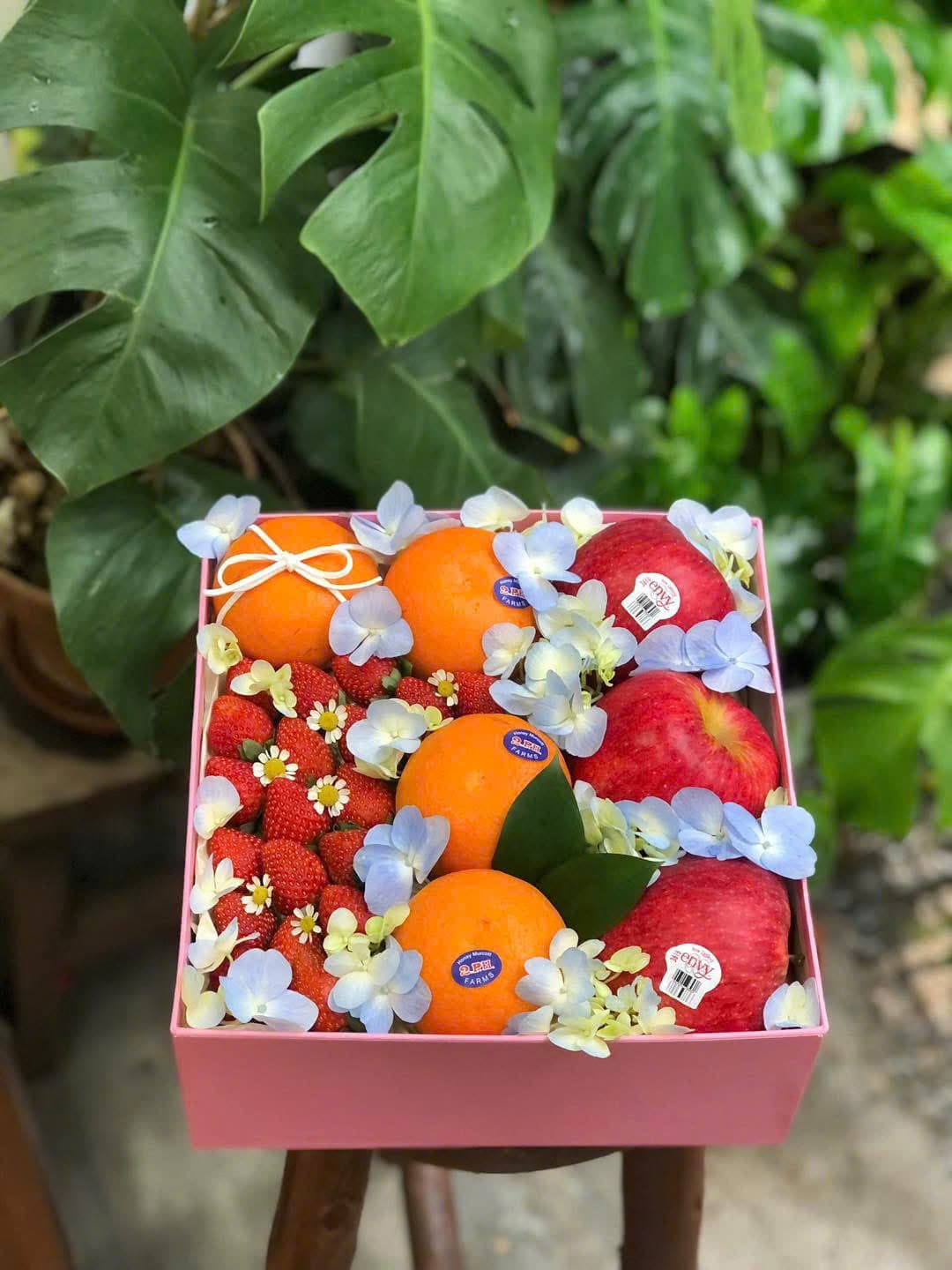 Hộp Quà Tặng Mã H83 tại Huế