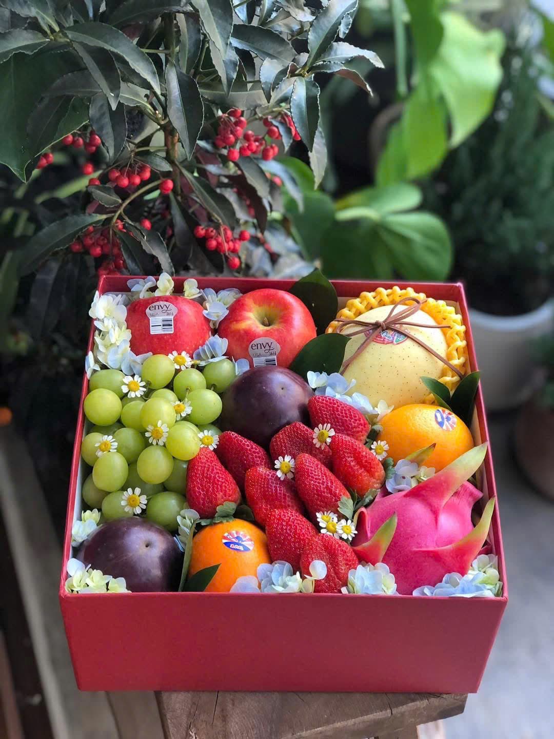 Hộp Quà Tặng Mã H85 tại Huế - ảnh 1